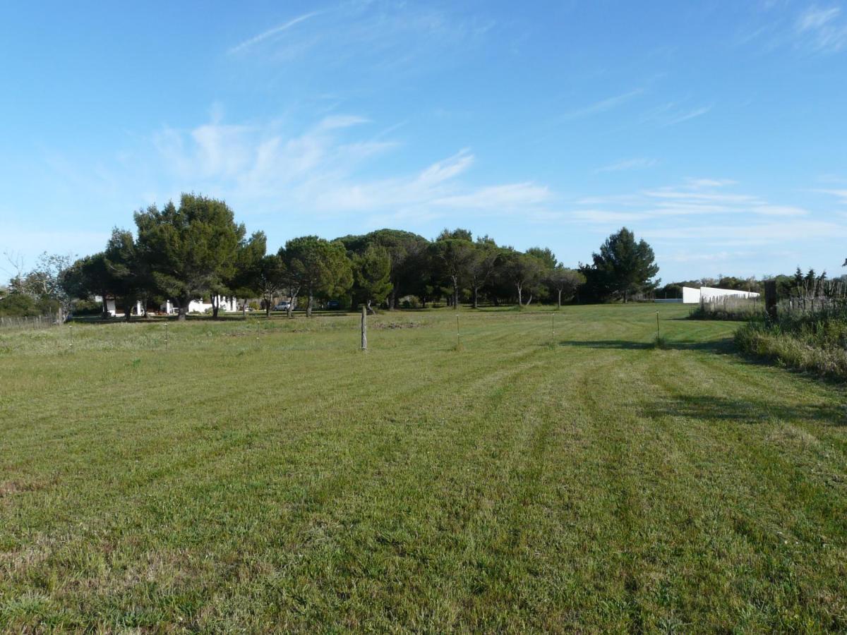 Mas Du Clos De La Barque Saintes-Maries-de-la-Mer Exterior foto